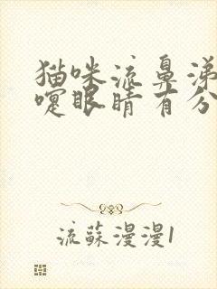 猫咪流鼻涕打喷嚏眼睛有分泌物食欲又很好