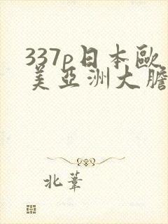 337p日本欧美亚洲大胆封面