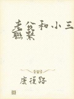 老公和小三断了联系封面