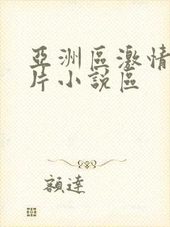 亚洲区激情区图片小说区