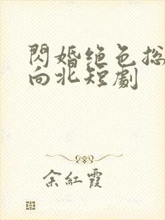 闪婚绝色总裁张向北短剧封面