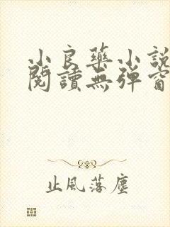 小良药小说免费阅读无弹窗