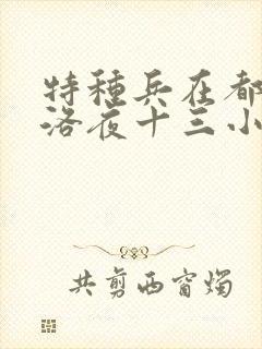 特种兵在都市杨洛夜十三小说封面