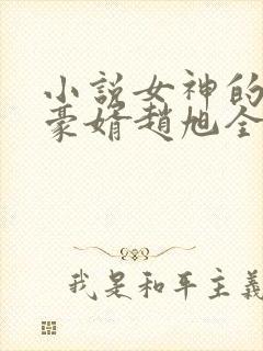 小说女神的上门豪婿赵旭全文阅读封面