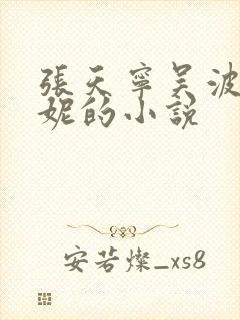 张天宁吴波李曼妮的小说封面