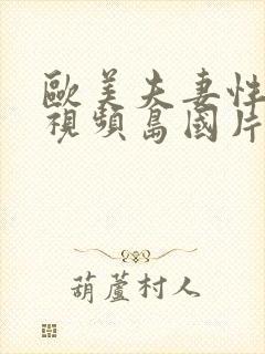 欧美夫妻性生活视频岛国片封面