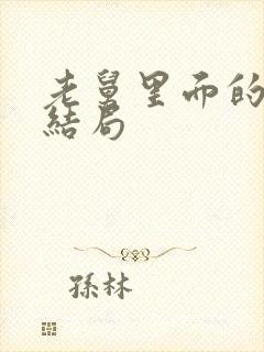 老舅里面的二美结局