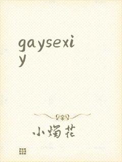 gaysexiy