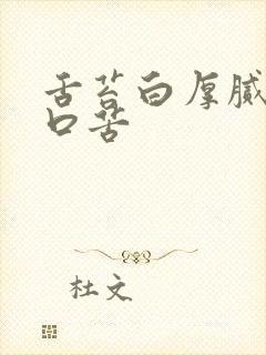 舌苔白厚腻口干口苦