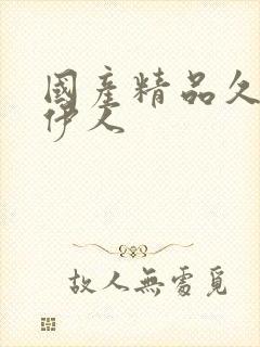 国产精品久久久伊人