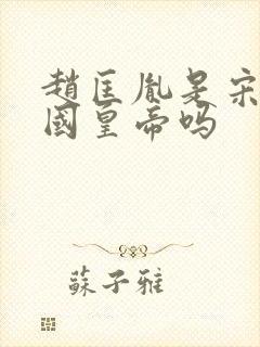 赵匡胤是宋朝开国皇帝吗