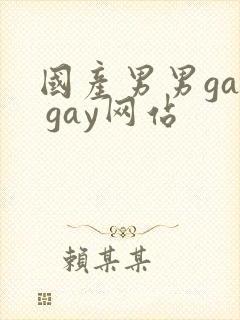 国产男男gay gay网站