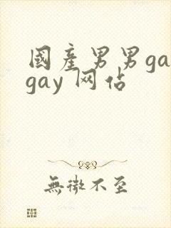 国产男男gaygay 网站封面