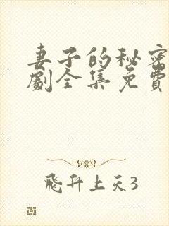 妻子的秘密电视剧全集免费观看高清