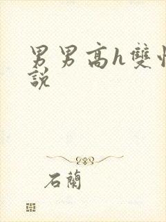 男男高h双性小说