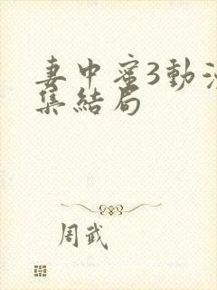 妻中蜜3动漫全集结局