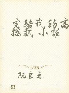 完结我的高冷女总裁 小说