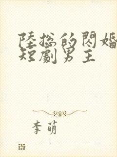 陆总的闪婚甜妻短剧男主