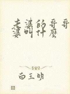 老婆的哥哥的老婆叫什么