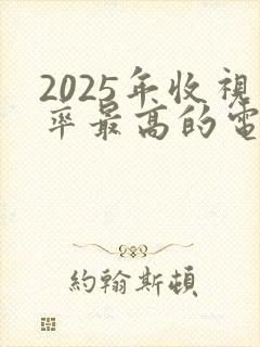 2025年收视率最高的电视剧排行榜前十名
