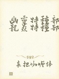 幽灵特种部队和龙焱特种部队