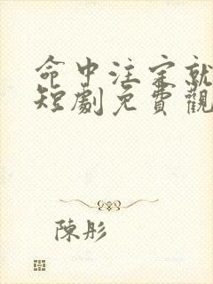 命中注定就是你短剧免费观看