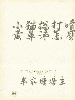 小猫总打喷嚏流黄鼻涕怎么办