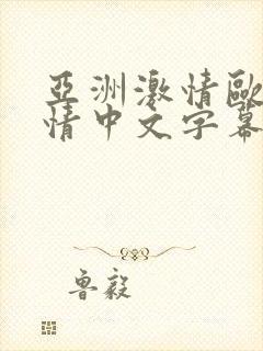 亚洲激情欧美激情中文字幕封面