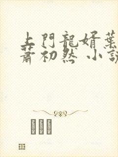 上门龙婿叶辰,萧初然 小说