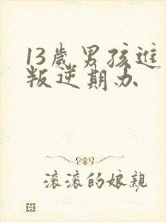 13岁男孩进入叛逆期办