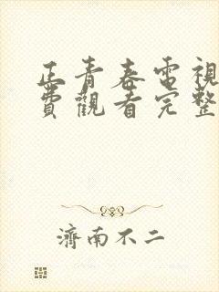 正青春电视剧免费观看完整版高清