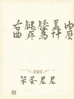 右腿膝盖内侧弯曲疼为什么