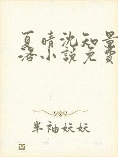 夏晴沈知景白洛洛小说免费听书