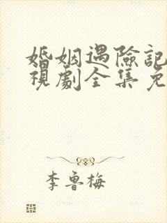 婚姻遇险记 电视剧全集免费观看