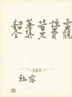 韶华若锦电视剧全集免费观看高清