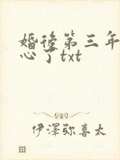 婚后第三年他变心了txt