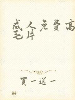 成人免费高潮a毛片