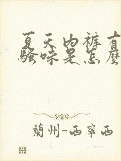 夏天内裤有股尿骚味是怎么回事