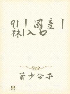 91丨国产丨丝袜|入口封面