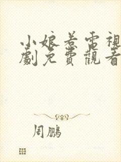 小娘惹电视连续剧免费观看封面