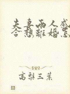 夫妻两人感情不合想离婚怎么办