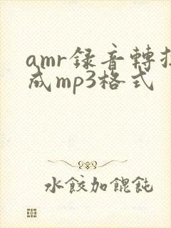 amr录音转换成mp3格式封面