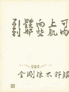 引体向上可以练到哪些肌肉