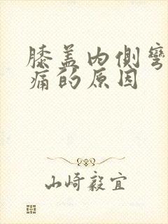 膝盖内侧弯曲疼痛的原因