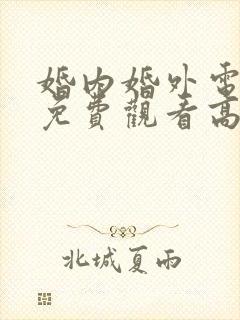 婚内婚外电视剧免费观看高清