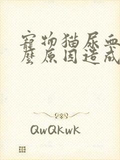 宠物猫尿血是什么原因造成的