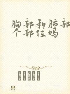 胸部和肺部是一个部位吗