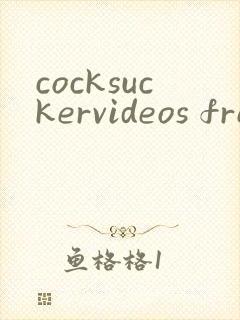 cocksuckervideos free gay porn