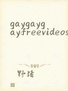 gaygaygayfreevideos