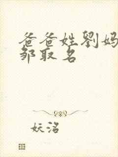 爸爸姓刘妈妈姓邹取名